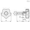 Elesa Stainless steel threaded stud, with cap, VCT.84-SST-p-M16x70-C3 VCT-SST-p